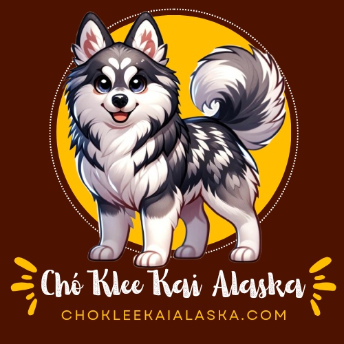 chokleekaialaska.com